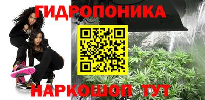 гидропоника Гагарин