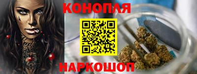 гидропоника Гагарин