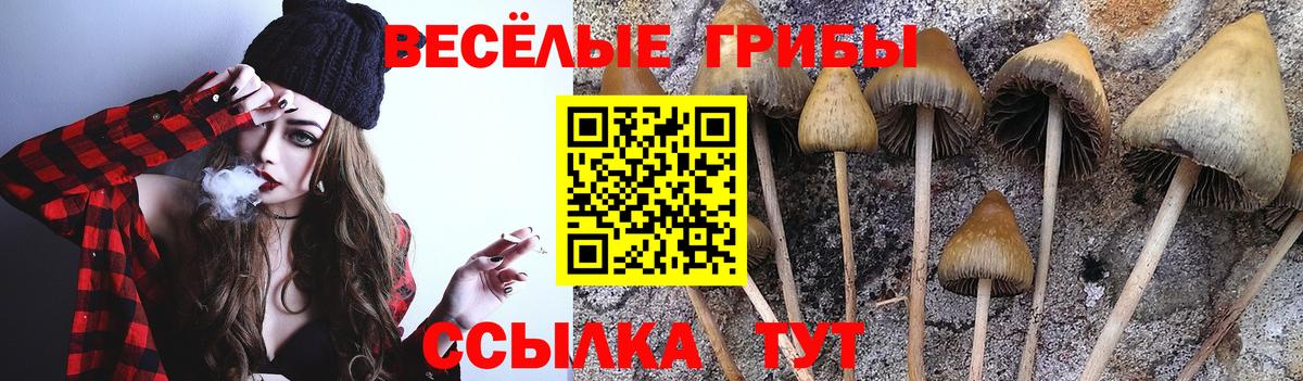 Фурманов  Галлюциногенные грибы прущие грибы  Вход с VPN 