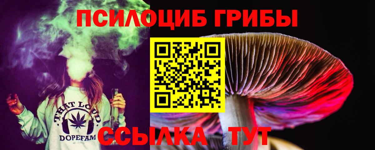 Галлюциногенные грибы Psilocybe Фурманов